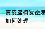 真皮座椅发霉怎么处理 真皮座椅发霉如何处理