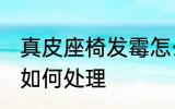 真皮座椅发霉怎么处理 真皮座椅发霉如何处理