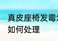 真皮座椅发霉怎么处理 真皮座椅发霉如何处理