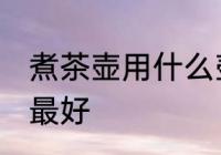 煮茶壶用什么壶最好 煮茶壶用哪些壶最好