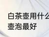 白茶壶用什么壶泡最好 白茶壶用哪些壶泡最好