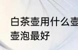 白茶壶用什么壶泡最好 白茶壶用哪些壶泡最好