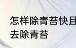 怎样除青苔快且干净 用什么可以很快去除青苔