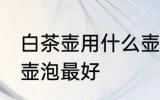 白茶壶用什么壶泡最好 白茶壶用哪些壶泡最好