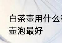 白茶壶用什么壶泡最好 白茶壶用哪些壶泡最好