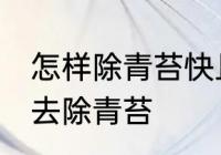 怎样除青苔快且干净 用什么可以很快去除青苔