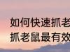 如何快速抓老鼠最有效方法 怎么快速抓老鼠最有效方法