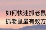 如何快速抓老鼠最有效方法 怎么快速抓老鼠最有效方法