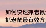 如何快速抓老鼠最有效方法 怎么快速抓老鼠最有效方法