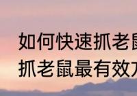 如何快速抓老鼠最有效方法 怎么快速抓老鼠最有效方法