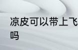 凉皮可以带上飞机吗 凉皮能带上飞机吗