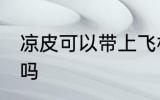 凉皮可以带上飞机吗 凉皮能带上飞机吗