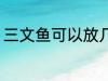 三文鱼可以放几天 保存三文鱼的时间
