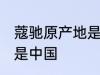 蔻驰原产地是中国吗 蔻驰原产地是不是中国