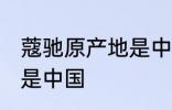 蔻驰原产地是中国吗 蔻驰原产地是不是中国
