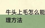 牛头上毛怎么能处理掉 牛头上毛的处理方法