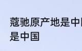 蔻驰原产地是中国吗 蔻驰原产地是不是中国