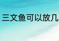 三文鱼可以放几天 保存三文鱼的时间
