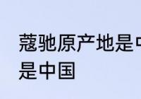 蔻驰原产地是中国吗 蔻驰原产地是不是中国